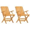 vidaXL Sedie pieghevoli 2 pezzi 61x67x90 cm Legno massello di teak