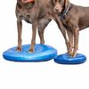 FitPAWS Disco per l'Allenamento dell'Equilibrio per Cani 36 cm Blu