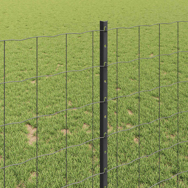 Visualizzazione immagine prodotto 4 di 14
