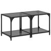 vidaXL Tavolini da Salotto con Piano Vetro Nero 2pz 40x40x40cm Acciaio