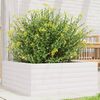 vidaXL Fioriera da Giardino Bianca 60x60x23 cm Legno Massello di Pino