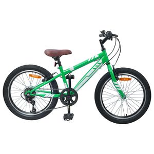 vidaXL Mountain Bike 20 Pollici 6-Speed per bambini di 5-8 anni Verde