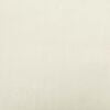 vidaXL Cuscino per Schiena Crema 100 x 24 x 50 cm Velluto