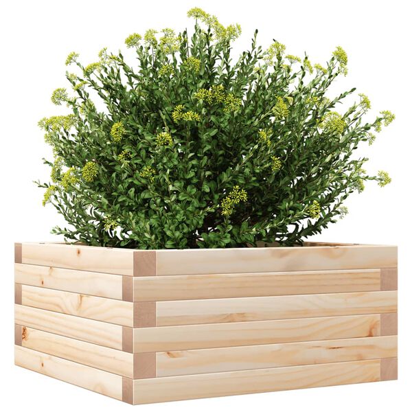 vidaXL Fioriera da Giardino 50x50x23 cm in Legno Massello di Pino
