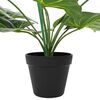 Immagine miniatura del prodotto 4 di 6