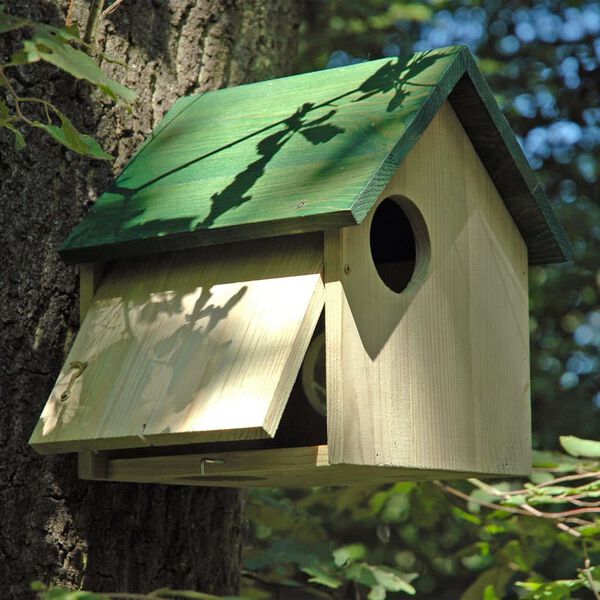 dobar Tana per Scoiattoli con 3 Ingressi Naturale e Verde