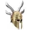 vidaXL Elmo da Guerriero Greco Antico per LARP in Acciaio Ottone