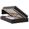 vidaXL Letto con contenitore e LED Nero 120 x 200 cm Pelle Sintetica