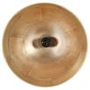 vidaXL Lampada Industriale Vintage 25 W Ottone Rotonda 31 cm E27