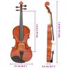 vidaXL Set Completo Violino con Arco e Mentoniera Naturale 4/4