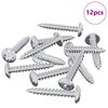 vidaXL Chiodo autofilettante 12 pz Zincato 4 x 25 mm Acciaio