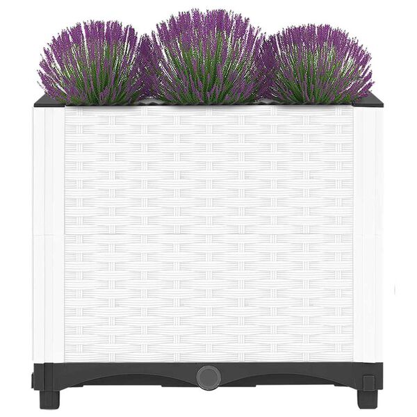 Visualizzazione immagine prodotto 3 di 8