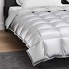 vidaXL Duvet Invernale Argento 220 x 240 cm Satin e Micropile