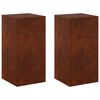 vidaXL Supporto per piante 2 pcs Ruggine 30 x 30 x 60 cm