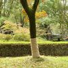 Immagine miniatura del prodotto 2 di 7