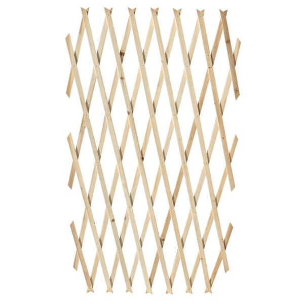 vidaXL Recinzione a Traliccio 5 pz in Legno Massello 180 x 90 cm