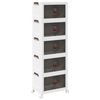 vidaXL Scatola Portaoggetti con Ruote 5 Livelli 28 L 48,5x29,5x139 cm
