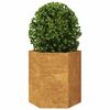 vidaXL Fioriere da Giardino 2 pz Esagono 46x40x45 cm in acciaio corten