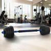 vidaXL Set Manubri e Bilanciere 2-in-1 30kg Nero e Blu