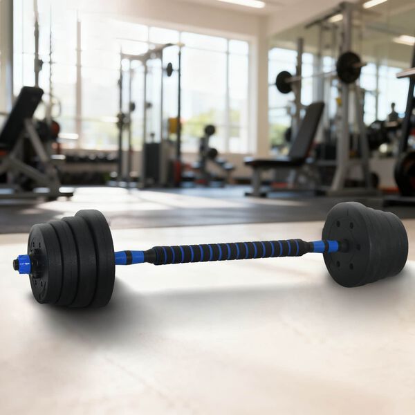 vidaXL Set Manubri e Bilanciere 2-in-1 30kg Nero e Blu