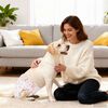 vidaXL Pannolino usa e getta per cani femmina 50 pcs Bianco M