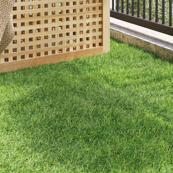 Visualizzazione immagine prodotto 3 di 10