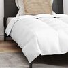 vidaXL Duvet Invernale con cuscino 2 pcs Bianco Piuma d'anatra