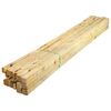 vidaXL Pollaio 6x1,5x2 m in Legno di Pino Impregnato