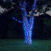 vidaXL Luci Solari Fatate 5 pz 5x200 LED Blu Interni Esterni