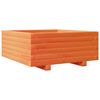 vidaXL Fioriera Giardino Marrone Cera 60x60x26,5cm Legno Massello Pino