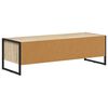 vidaXL Mobile TV Sonoma 100 x 36.5 x 30.5 cm Legno multistrato