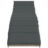 vidaXL Lettino Prendisole con Cuscino Grigio 55x199x50cm in Polyrattan