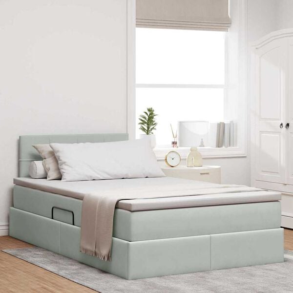 vidaXL Letto con Contenitore Grigio chiaro 120 x 190 cm Velluto