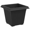 vidaXL Vaso quadrato per fiori 6 pcs Nero 16 x 16 x 14 cm Plastica