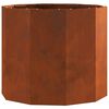 vidaXL Fioriera Ruggine 60 x 60 x 50 cm