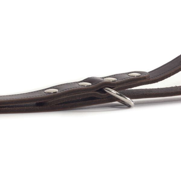 Beeztees Guinzaglio da Addestramento in Pelle Cuoio 200x1,2 cm 736401 Marrone