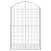 vidaXL Cesto Gabbione ad Arco 100x50x140/160 cm Ferro Zincato