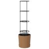vidaXL Coltivatore di pomodori Naturo ECO &Oslash; 39 x 139 cm WPC