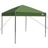 vidaXL Set di Tende da Campeggio 2 pcs Verde Taffeta e Tessuto