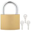 vidaXL U Lock con Chiavi 100 pcs Ottone Ferro
