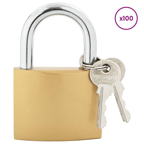 vidaXL U Lock con Chiavi 100 pcs Ottone Ferro