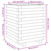 vidaXL Fioriera da Giardino 40x40x49,5 cm in Legno Massello di Douglas
