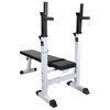 vidaXL Panca Reclinabile con Rack Bilanciere e Set Manubri 120 kg