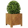 vidaXL Fioriere da Giardino 2 pz 30x30x30 cm in Acciaio Corten
