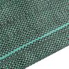 vidaXL Membrana Antierbacce Verde 1x200 m in PP