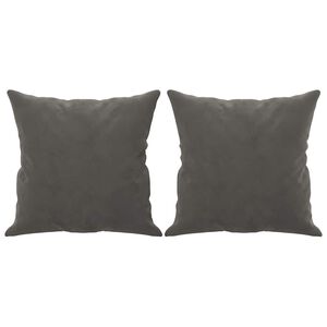 vidaXL Cuscini Decorativi 2 pz Grigio Scuro 40x40 cm in Velluto