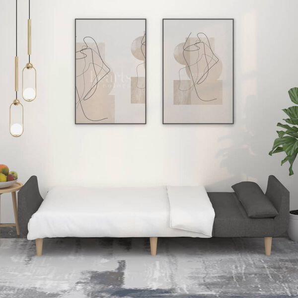 vidaXL Divano Letto a 2 Posti con 2 Cuscini Grigio Scuro in Tessuto