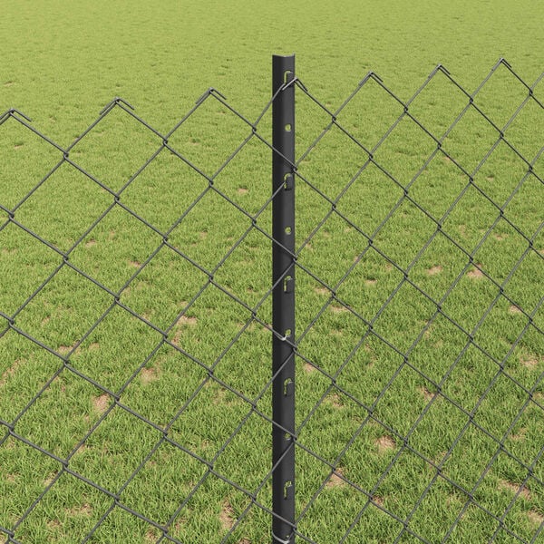 Visualizzazione immagine prodotto 4 di 14