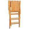 vidaXL Sedie pieghevoli, 4 pezzi, 55x61x90 cm, in legno massello di teak