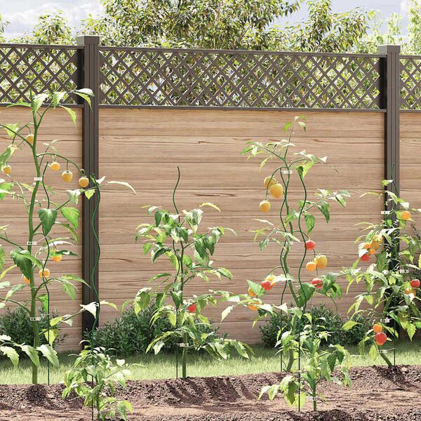 Visualizzazione immagine prodotto 2 di 11